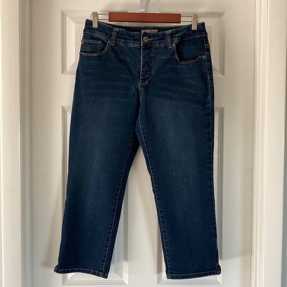 So Slimming, by Chico’s, 0.5, cropped.